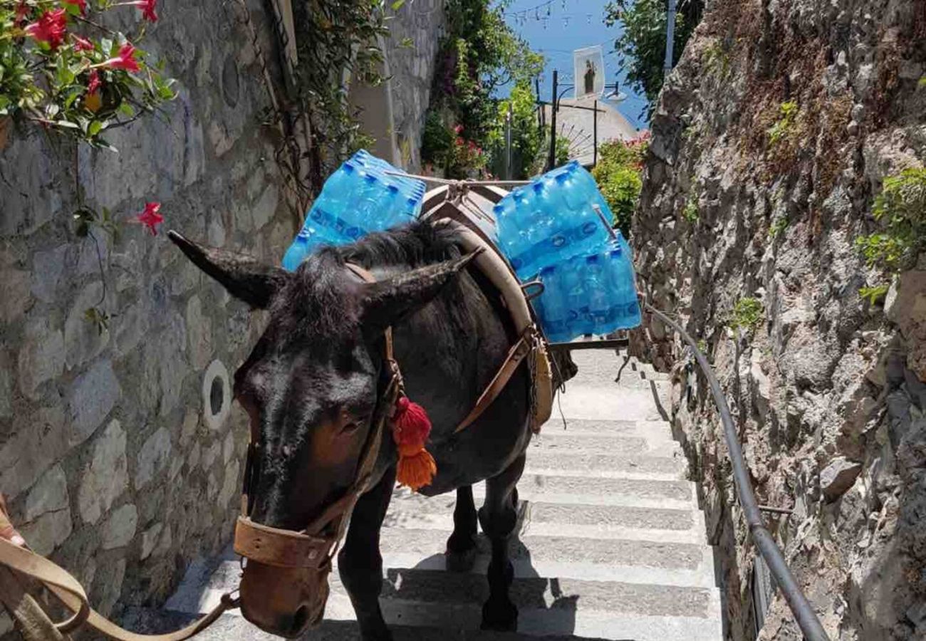 Apartamento en Positano - Goat Path