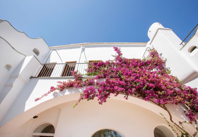 Villa en Positano - Villa Field