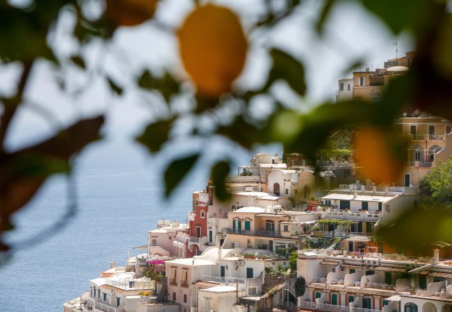 Villa en Positano - Villa Field