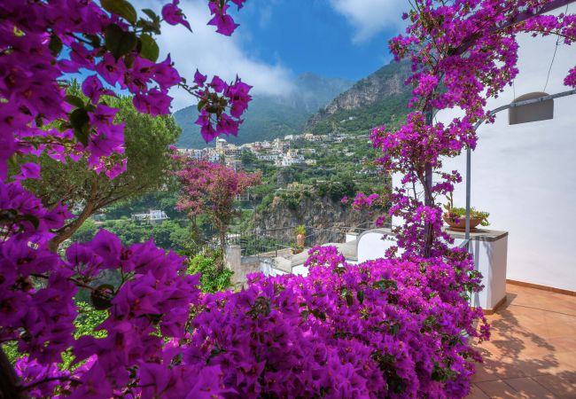 Villa en Positano - Villa Field Villa en Positano - Villa Field