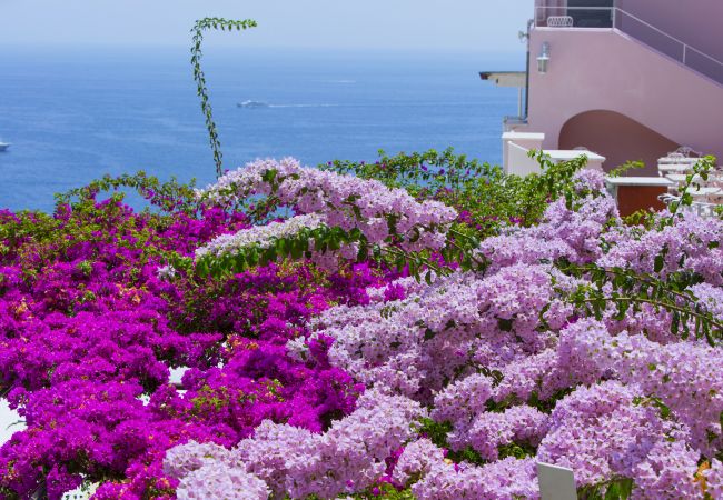 Casa en Positano - La casa del Maresciallo Casa en Positano - La casa del Maresciallo