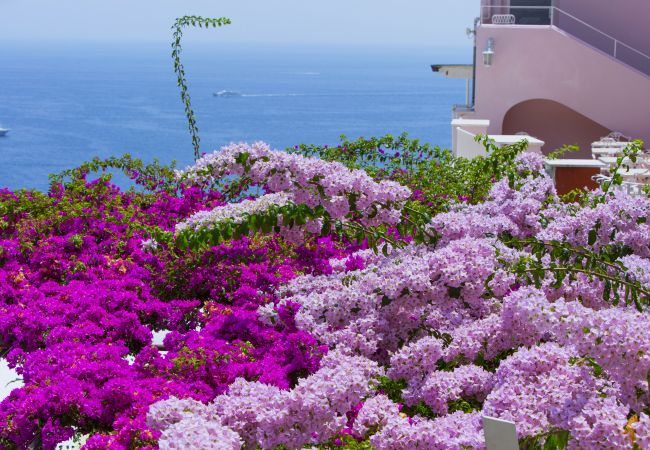 Casa en Positano - La casa del Maresciallo