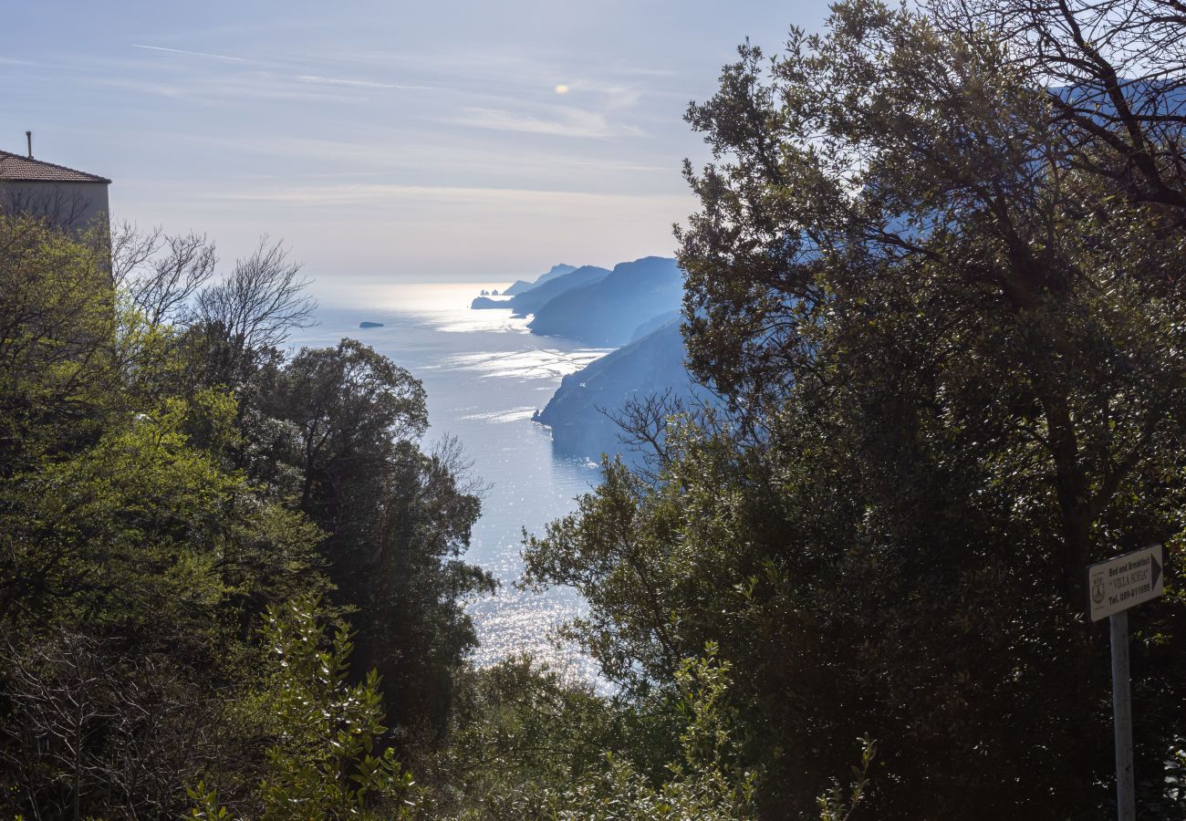 Apartamento en Positano - Casa Satriano APT.