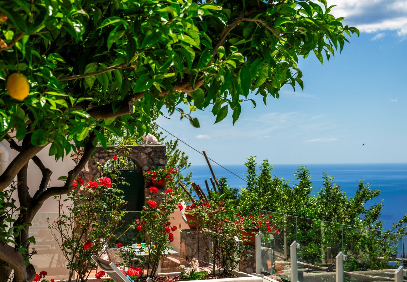 Casa en Positano - Casa Fifì