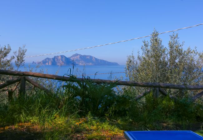 Villa à Massa Lubrense - Villa Blue Capri Villa à Massa Lubrense - Villa Blue Capri