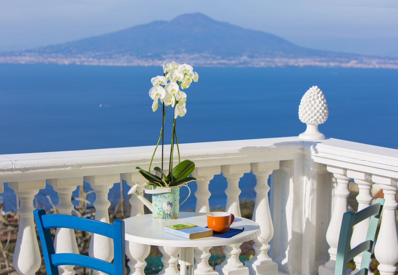 Villa a Sorrento - Villa Luisa  Jacuzzi and Pool