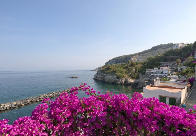 Appartamento a Massa Lubrense - Sea Beauty Appartamento a Massa Lubrense - Sea Beauty