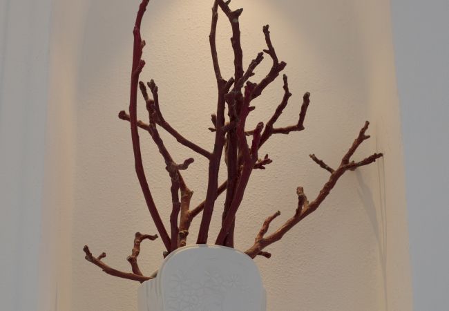 Appartamento a Massa Lubrense - Sea Beauty Appartamento a Massa Lubrense - Sea Beauty