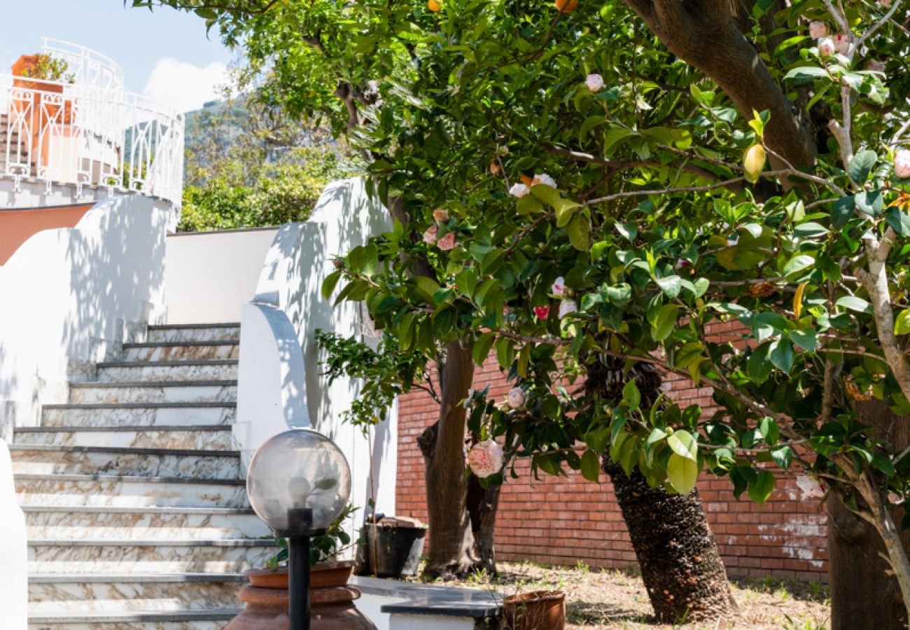 Affitto per camere a Piano di Sorrento - Villa Francesca - Camelia