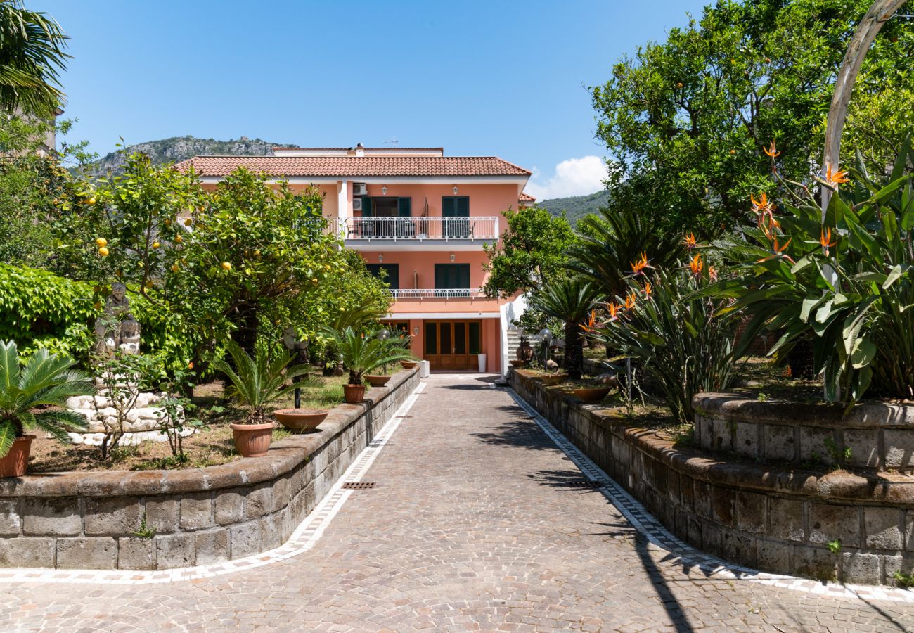 Affitto per camere a Piano di Sorrento - Villa Francesca - Camelia