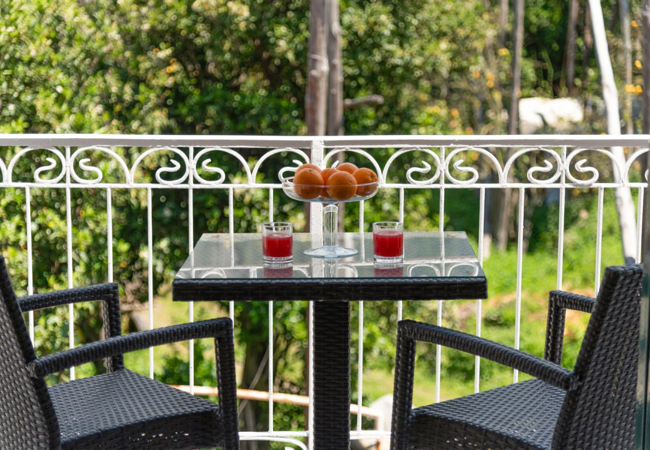 Affitto per camere a Piano di Sorrento - Villa Francesca - Tulipano