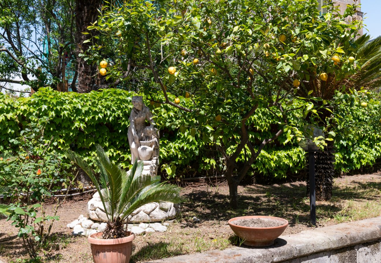 Affitto per camere a Piano di Sorrento - Villa Francesca - Tulipano