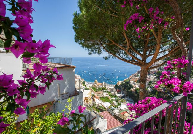 Villa a Positano - Villa Field