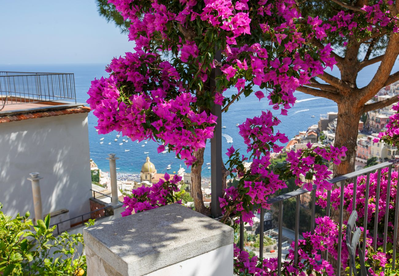 Villa a Positano - Villa Field