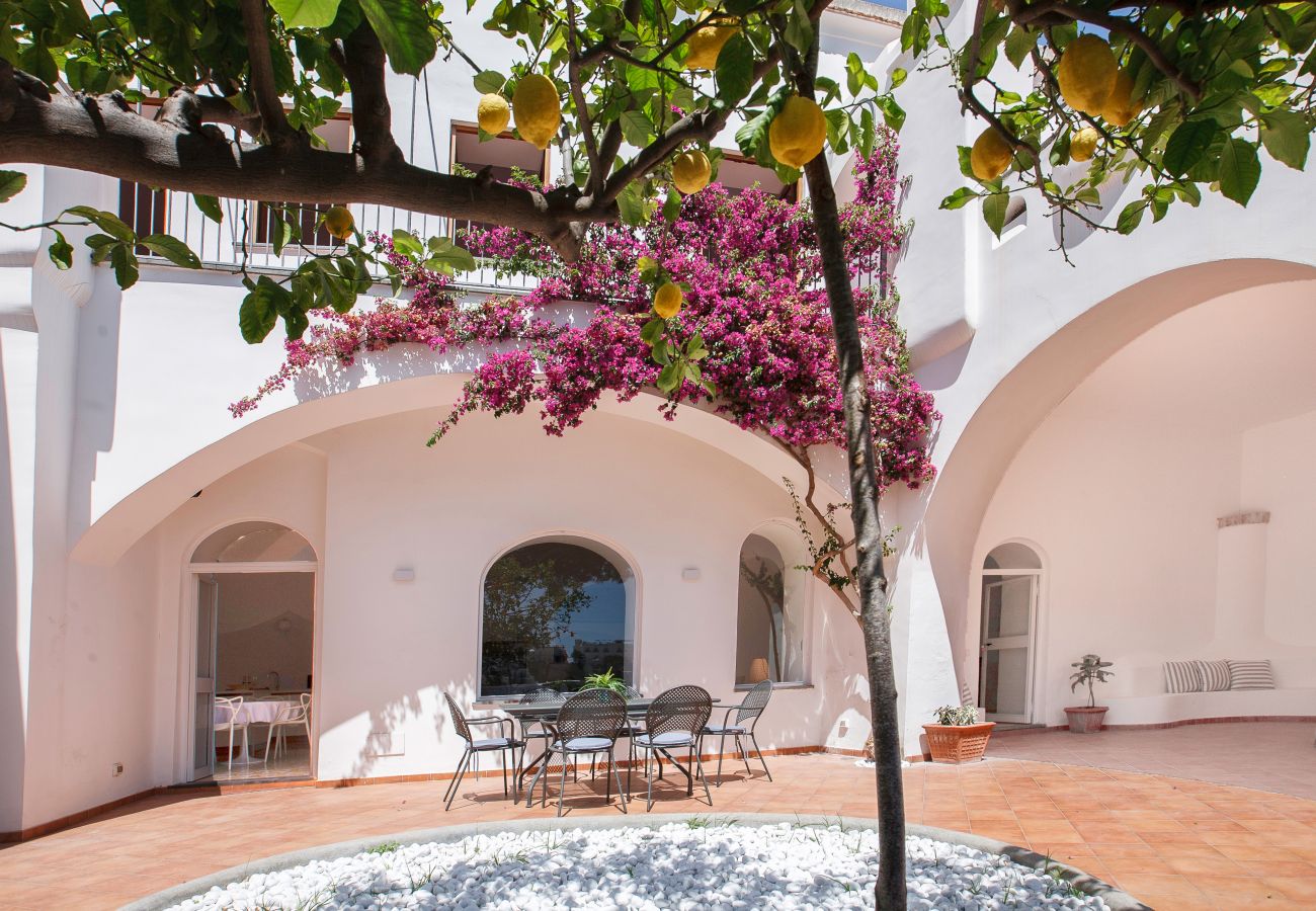 Villa a Positano - Villa Field