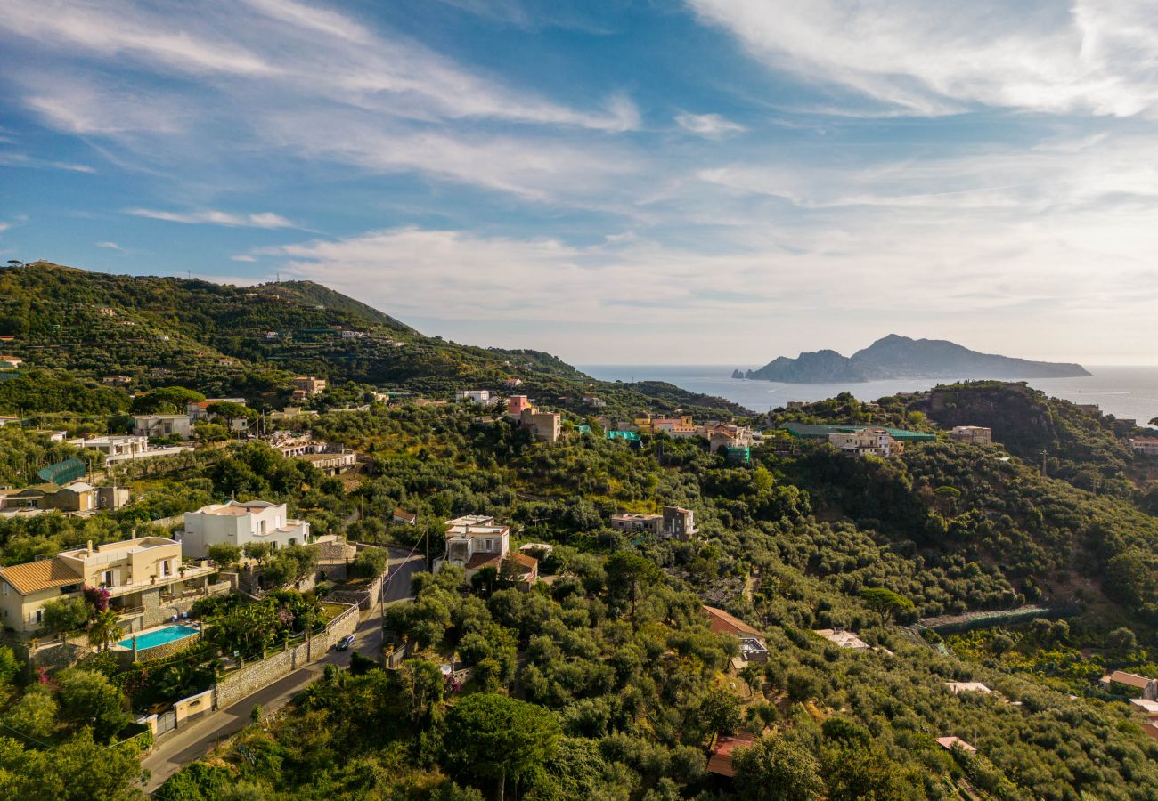 Villa a Massa Lubrense - Villa Maria Rosaria