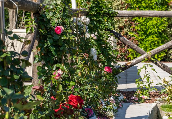 Villa a Massa Lubrense - Dimora delle Rose