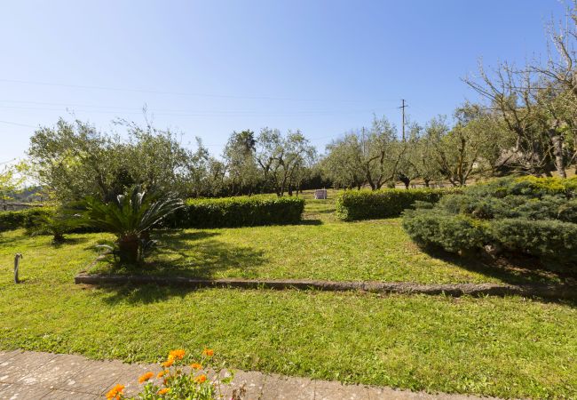 Villa a Massa Lubrense - Estate4home - Villa Corinna Villa a Massa Lubrense - Estate4home - Villa Corinna