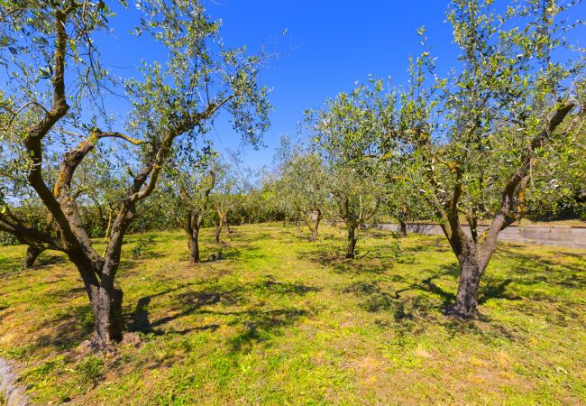 Villa a Massa Lubrense - Estate4home - Villa Corinna Villa a Massa Lubrense - Estate4home - Villa Corinna