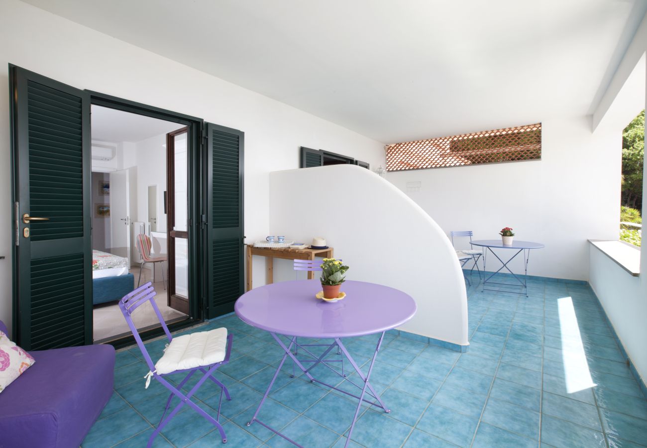Villa a Massa Lubrense - Villa Mapi
