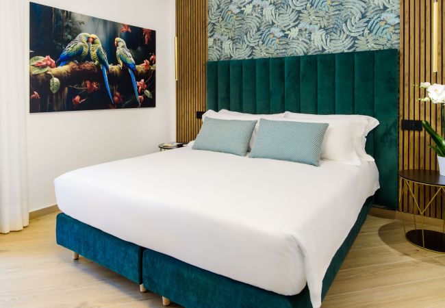 Affitto per camere a Piano di Sorrento - NicholHouse - Green Parrot Affitto per camere a Piano di Sorrento - NicholHouse - Green Parrot