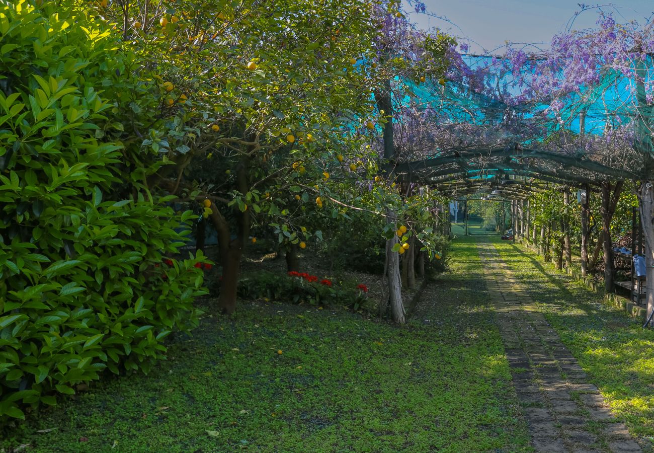 Villa a Massa Lubrense - Villa Blue Skyline