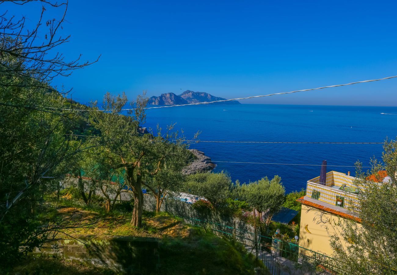 Villa a Massa Lubrense - Villa Blue Skyline