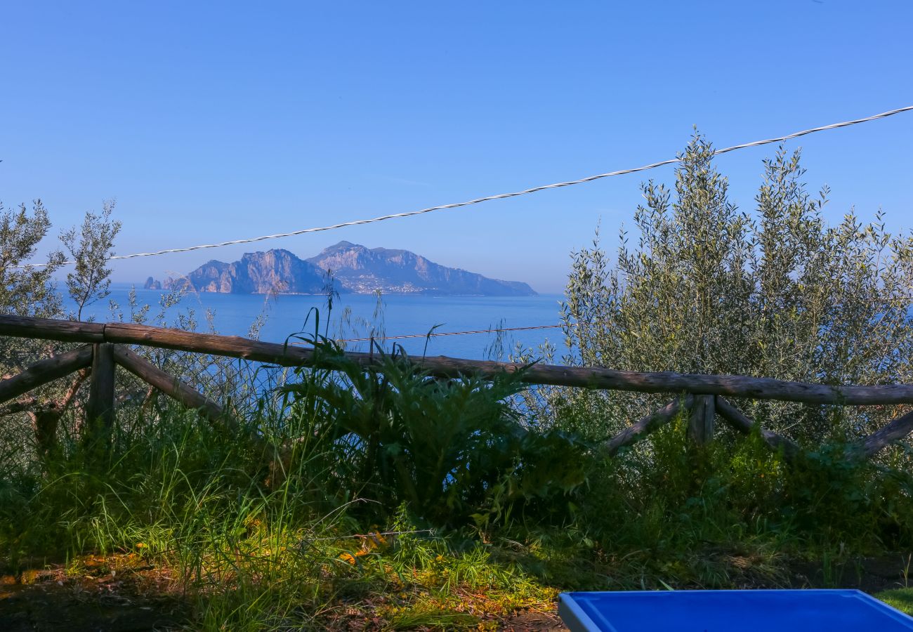 Villa a Massa Lubrense - Villa Blue Skyline
