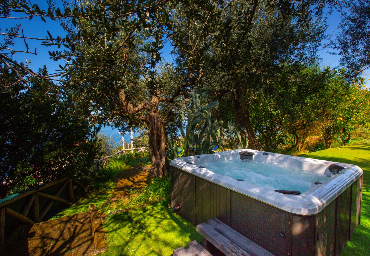 Villa a Massa Lubrense - Villa Blue Skyline