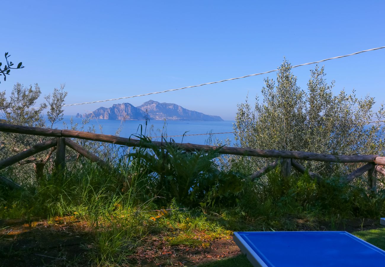 Villa a Massa Lubrense - Villa Blue Skyline