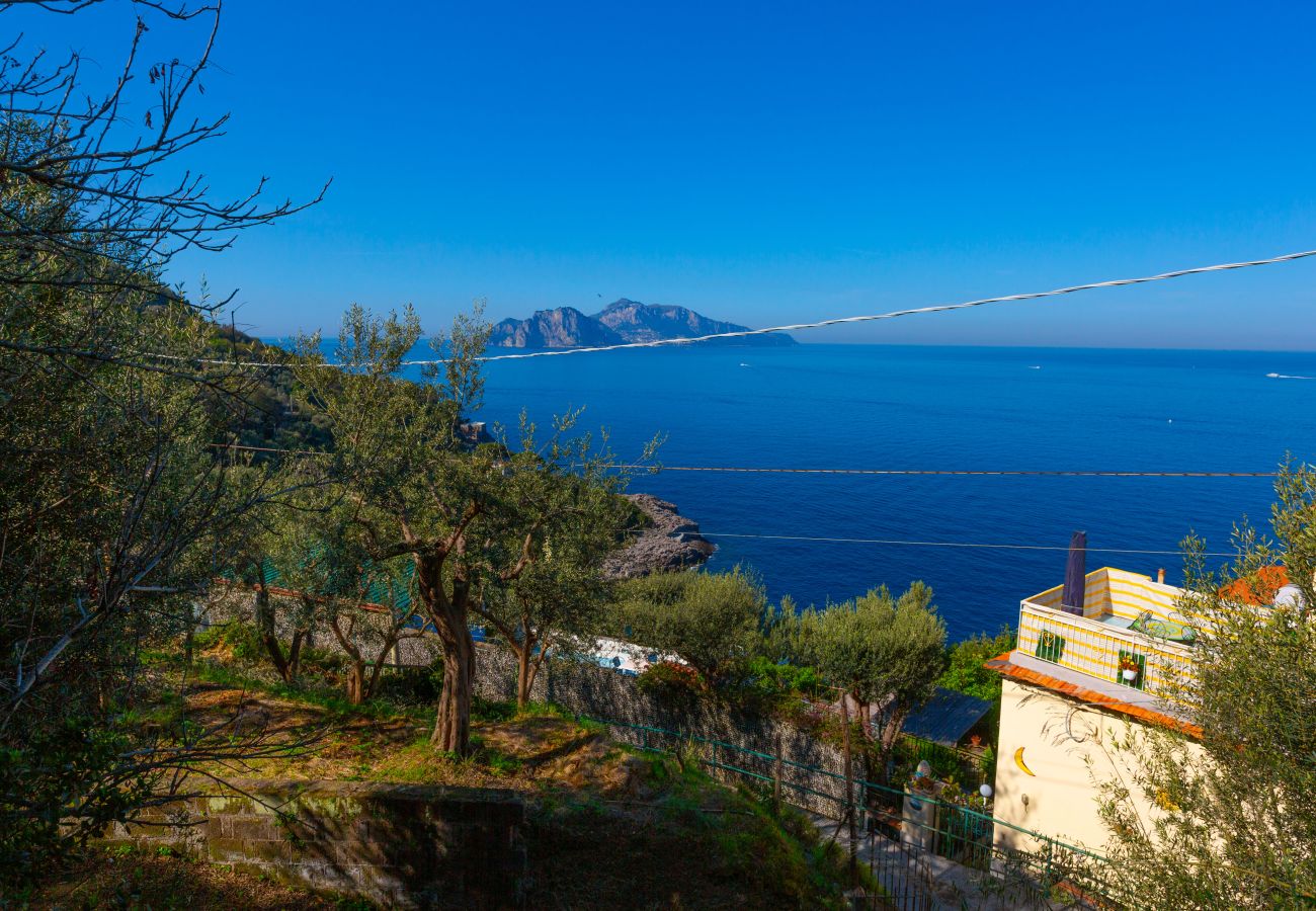 Villa a Massa Lubrense - Villa Blue Skyline