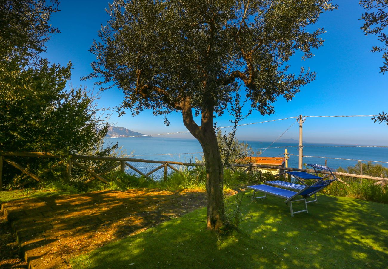 Villa a Massa Lubrense - Villa Blue Skyline