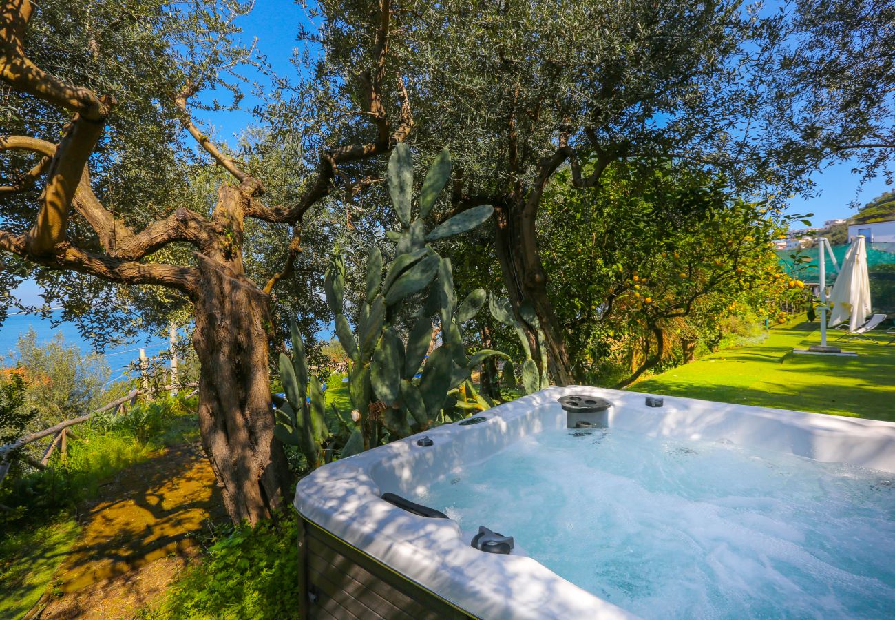 Villa a Massa Lubrense - Villa Blue Skyline