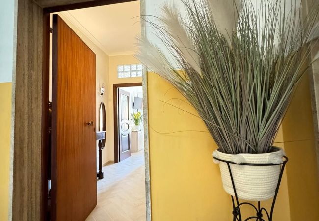 Affitto per camere a Meta - B&B Over the world Affitto per camere a Meta - B&B Over the world