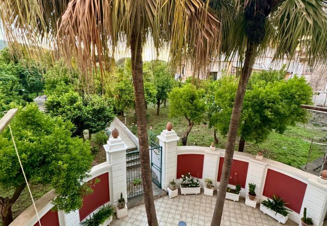 Affitto per camere a Meta - Meta CC Palace: Donna Rita Affitto per camere a Meta - Meta CC Palace: Donna Rita