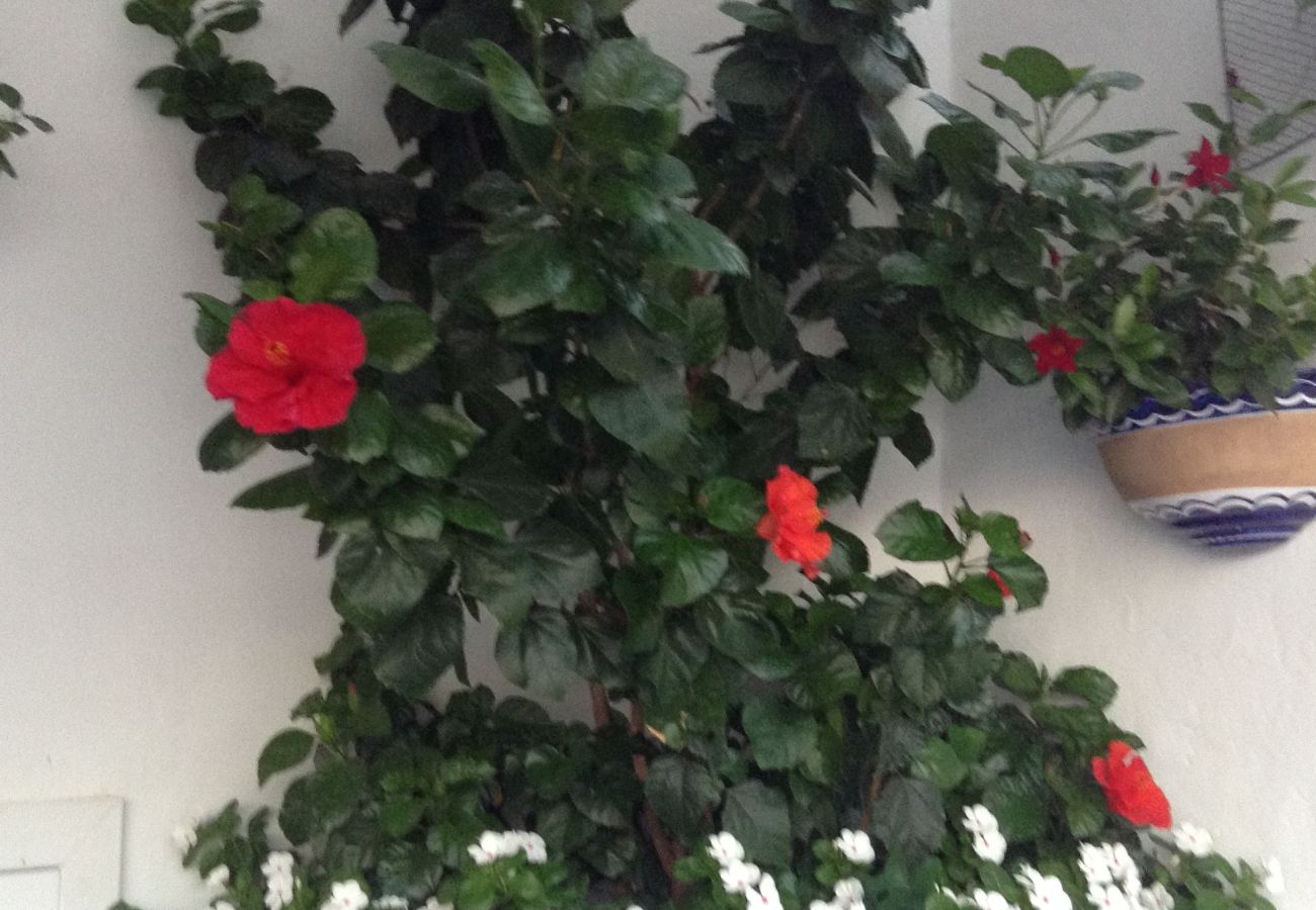 Casa a Positano - Esate4home - Le Vele