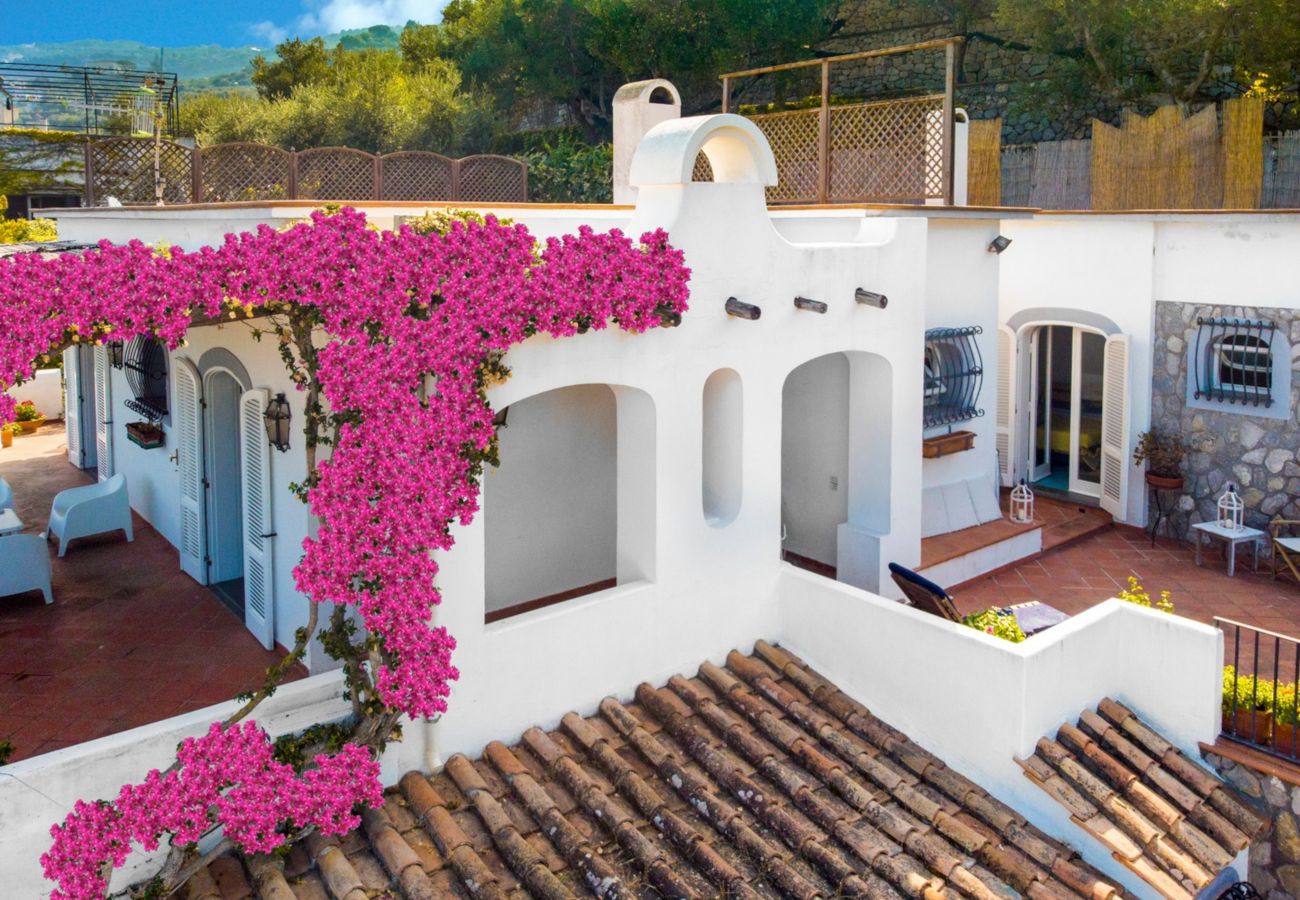 Villa in Massa Lubrense - Estate4home - Villamia