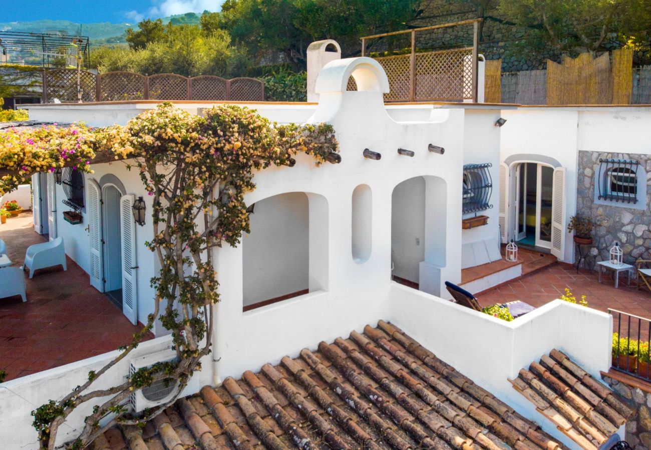Villa in Massa Lubrense - Estate4home - Villamia