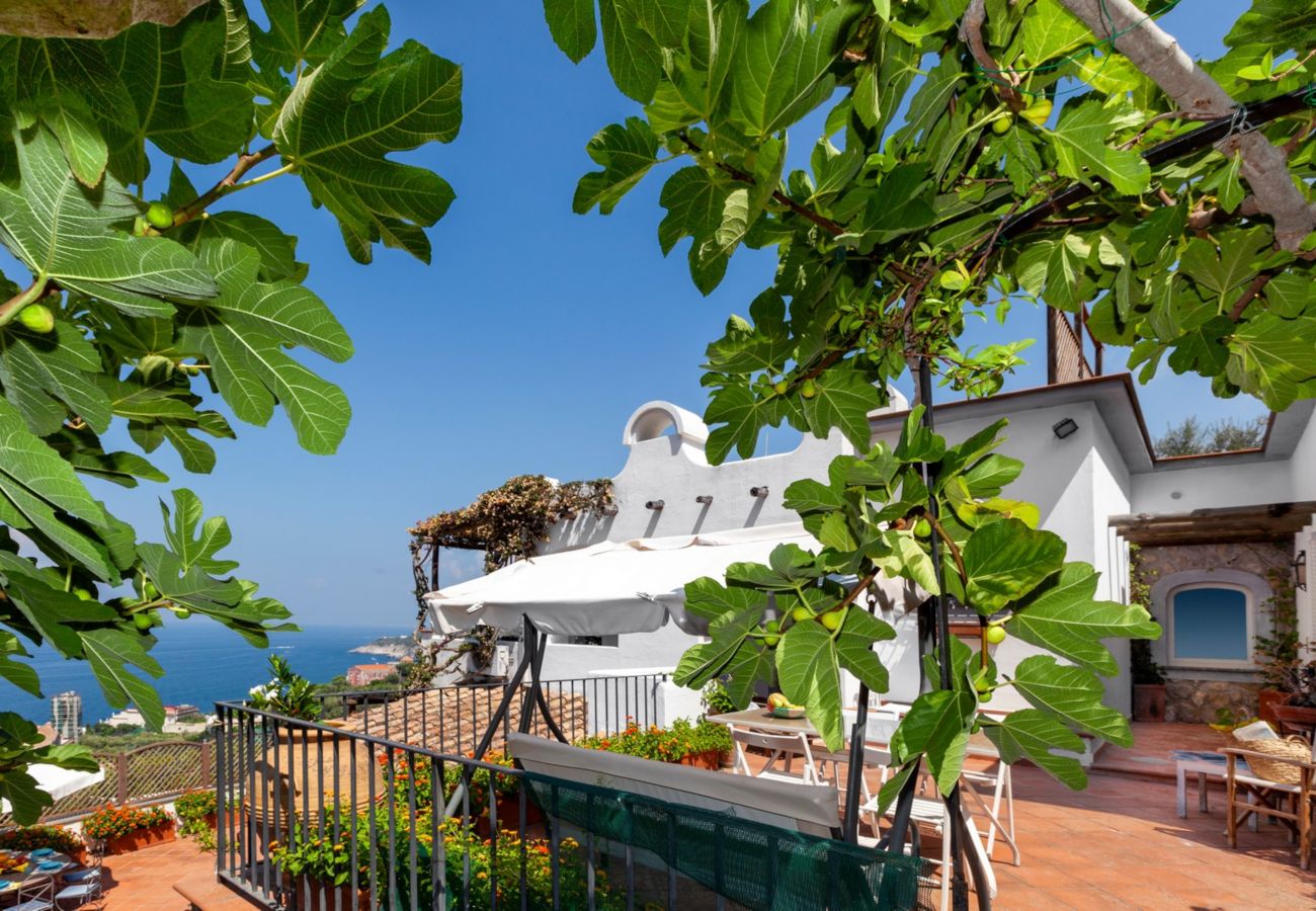Villa in Massa Lubrense - Estate4home - Villamia