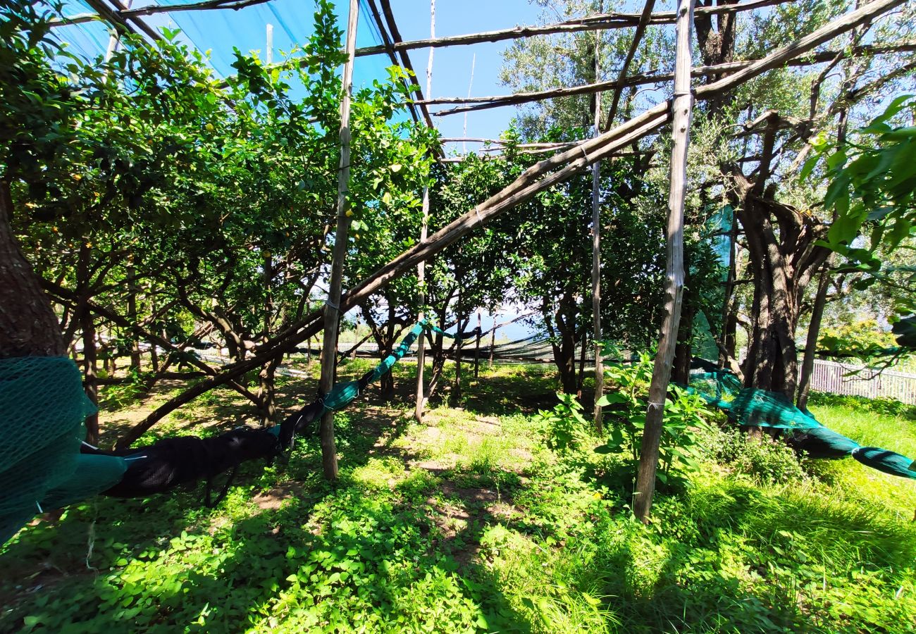 Villa in Sant´Agnello - Estate4home - Villa Nastro Argento