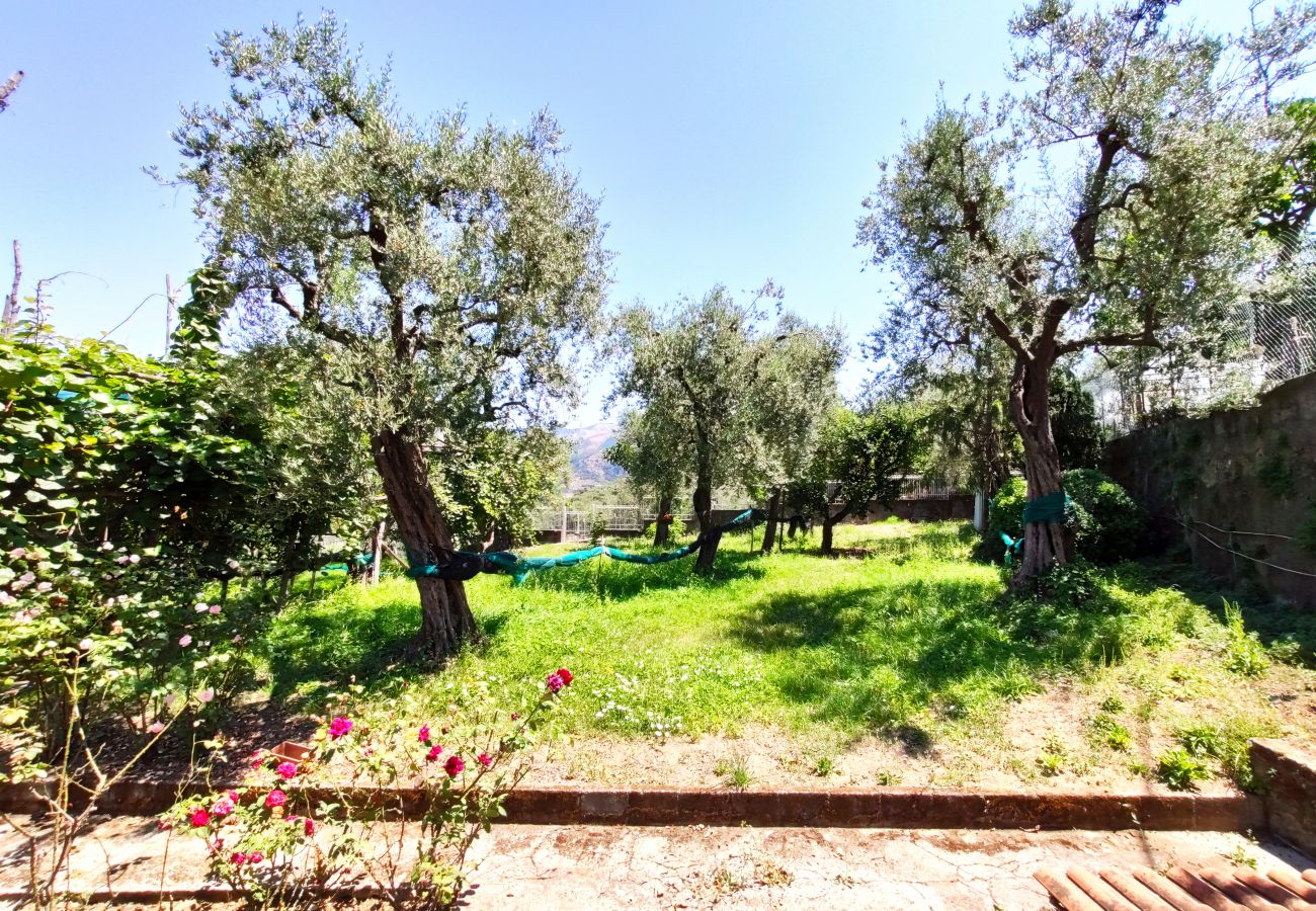 Villa in Sant´Agnello - Estate4home - Villa Nastro Argento