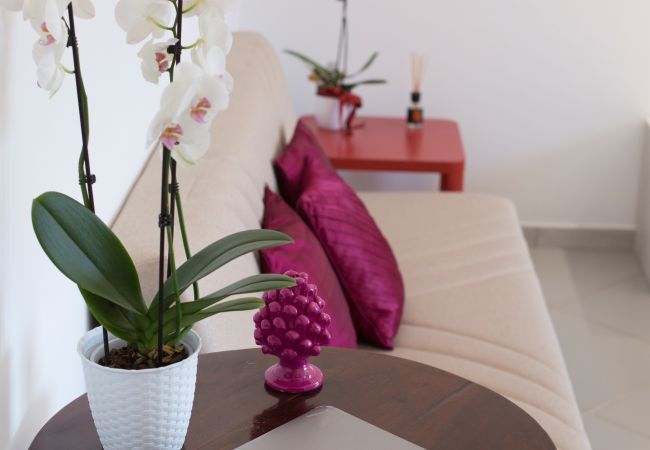 Rent by room in Piano di Sorrento - Sofia Flora Studio Rent by room in Piano di Sorrento - Sofia Flora Studio