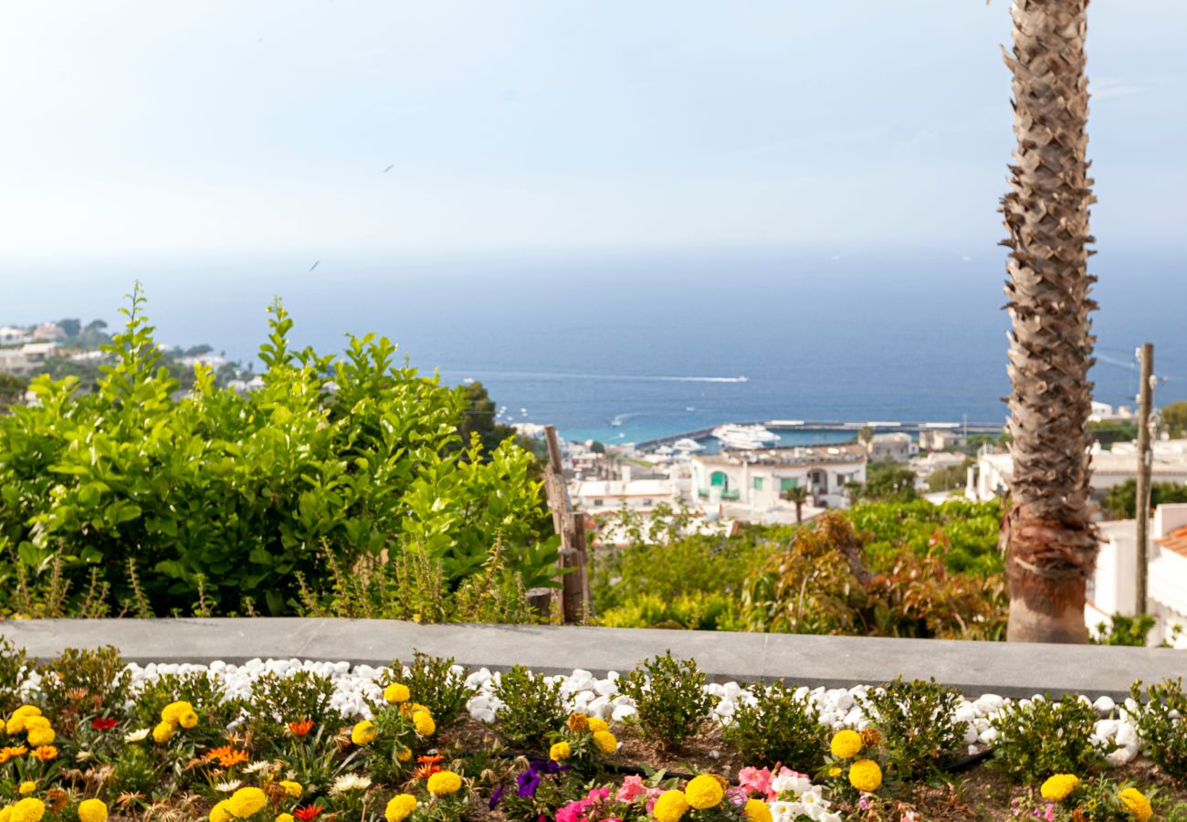 Apartment in Capri -  JJ Capri