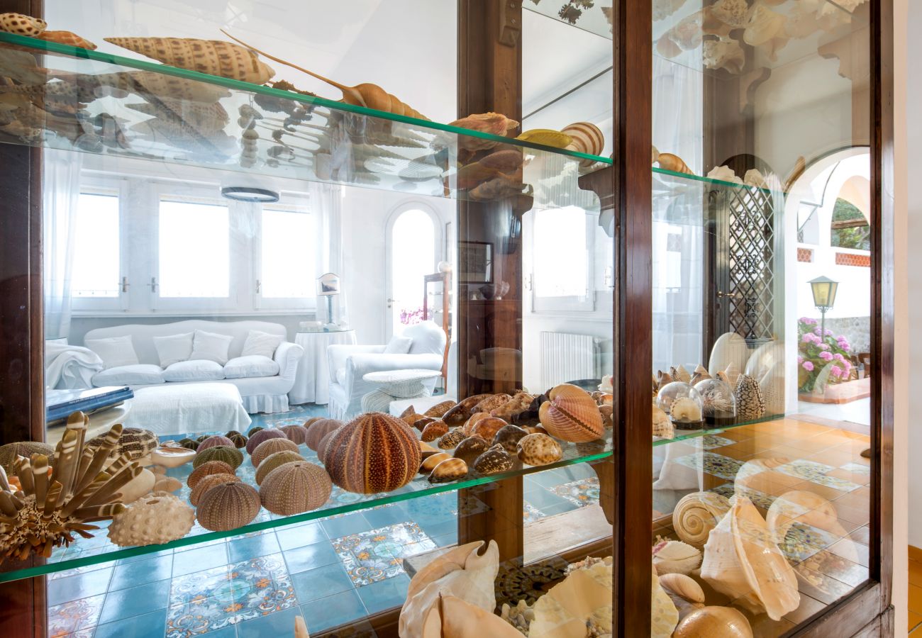 Villa in Massa Lubrense - Villa Bouganville