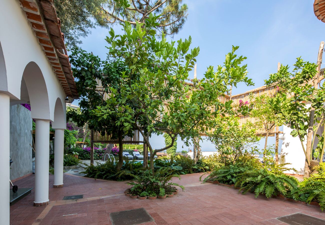 Villa in Massa Lubrense - Villa Bouganville