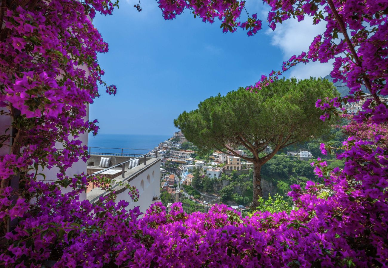 Villa in Positano - Villa Field
