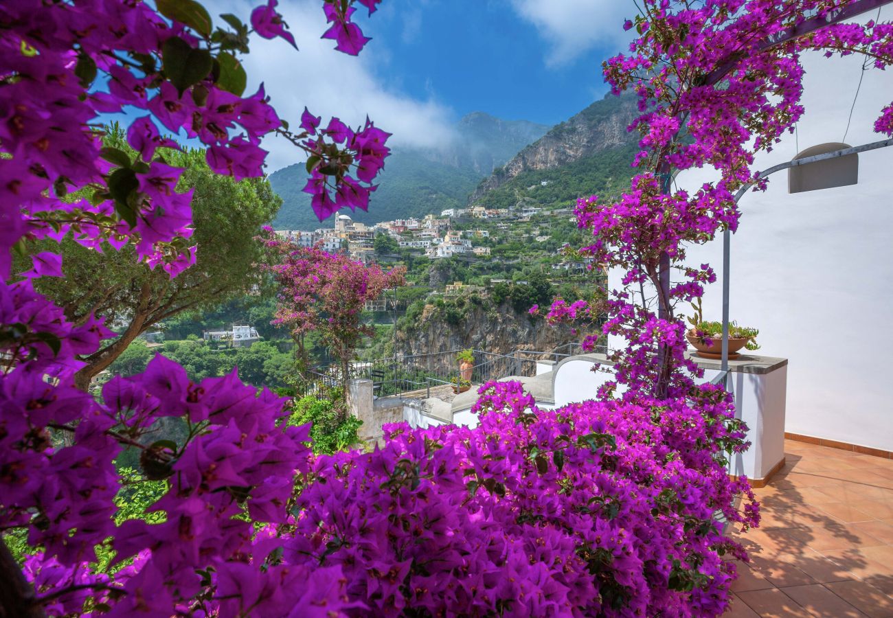 Villa in Positano - Villa Field