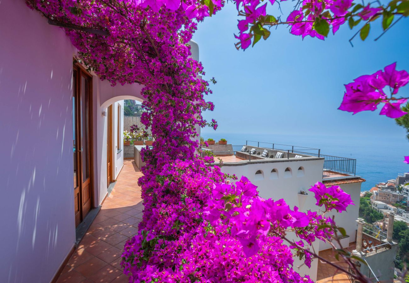 Villa in Positano - Villa Field
