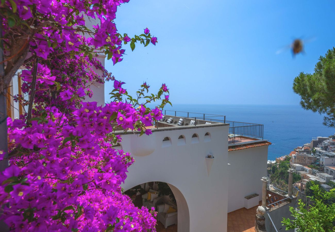 Villa in Positano - Villa Field