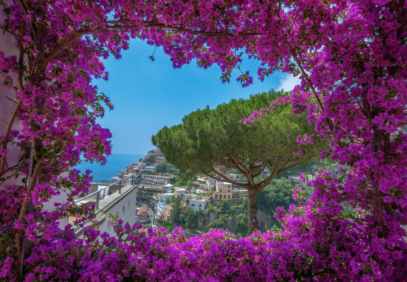 Villa in Positano - Villa Field